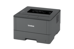 printer-Brother-HL-5200DW.png